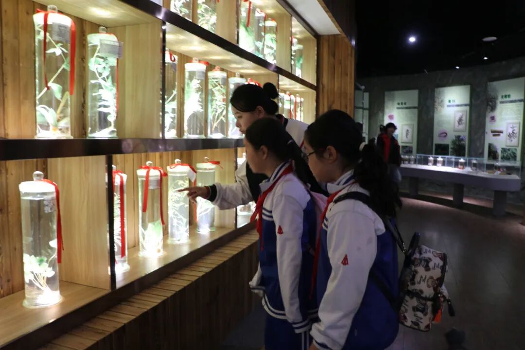 图片 17CE5